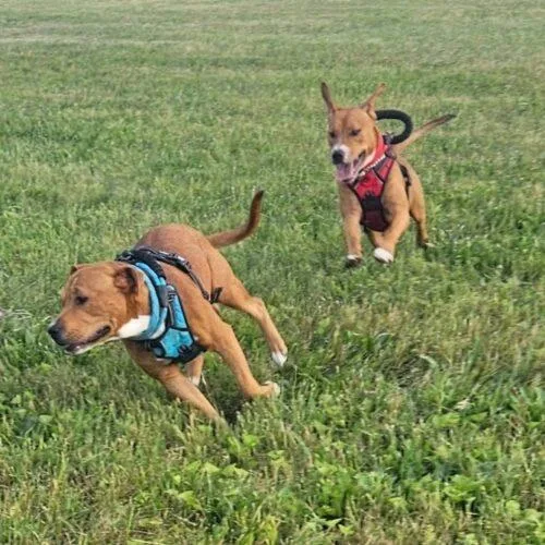 Millions thumbnail 5