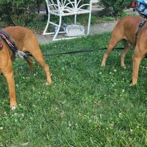 Millions thumbnail 8