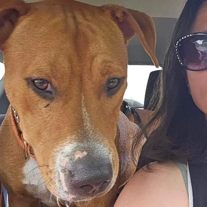 Millions thumbnail 9