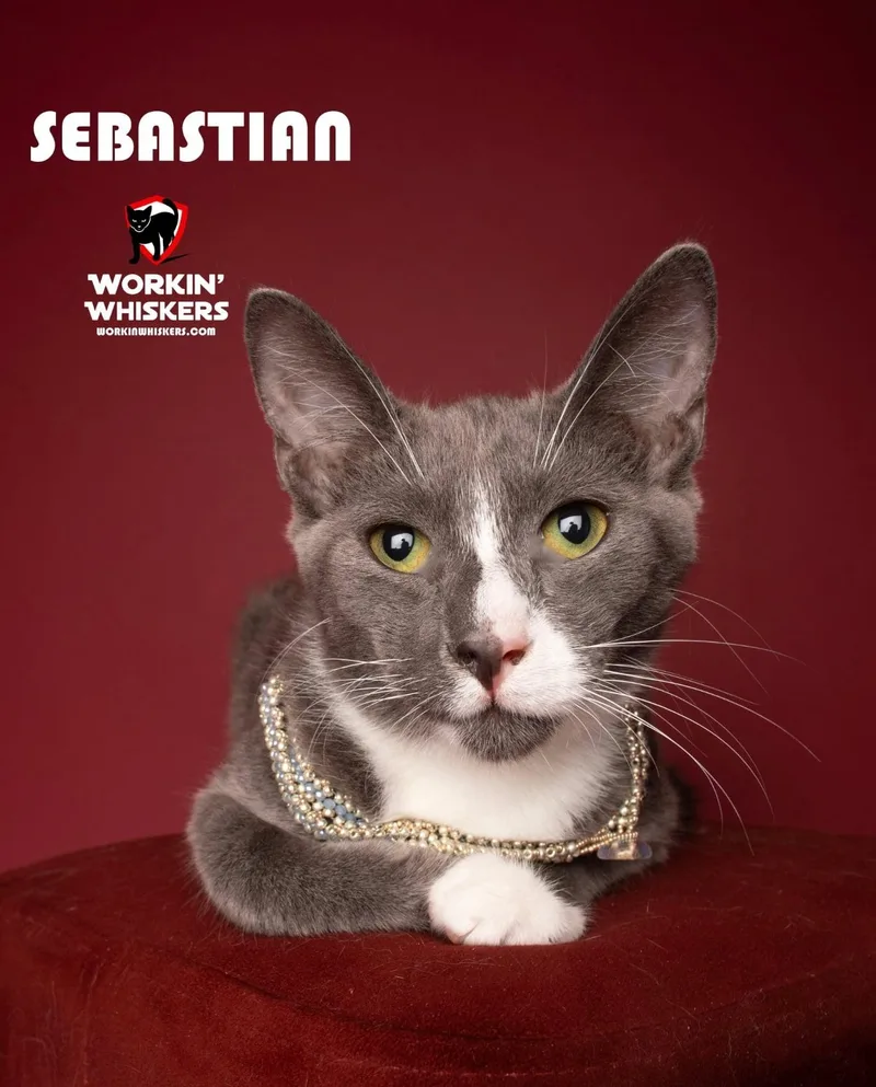 Sebastian