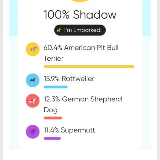 Shadow thumbnail 2