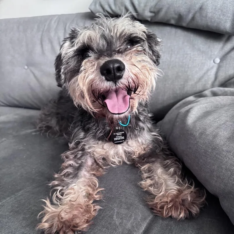 Isabella thumbnail 2