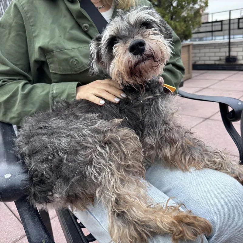 Isabella thumbnail 5