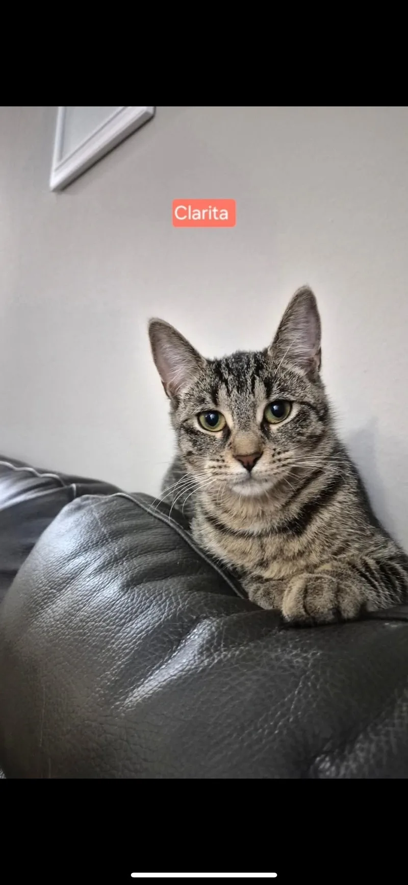 Clarita thumbnail 3