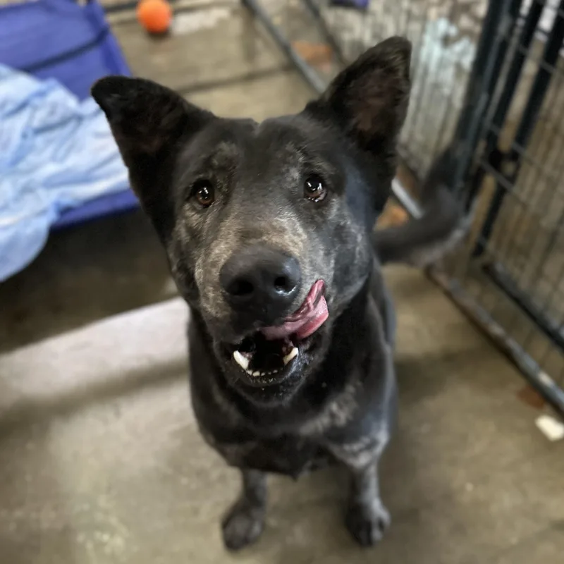 Jeremy Allen White thumbnail 3