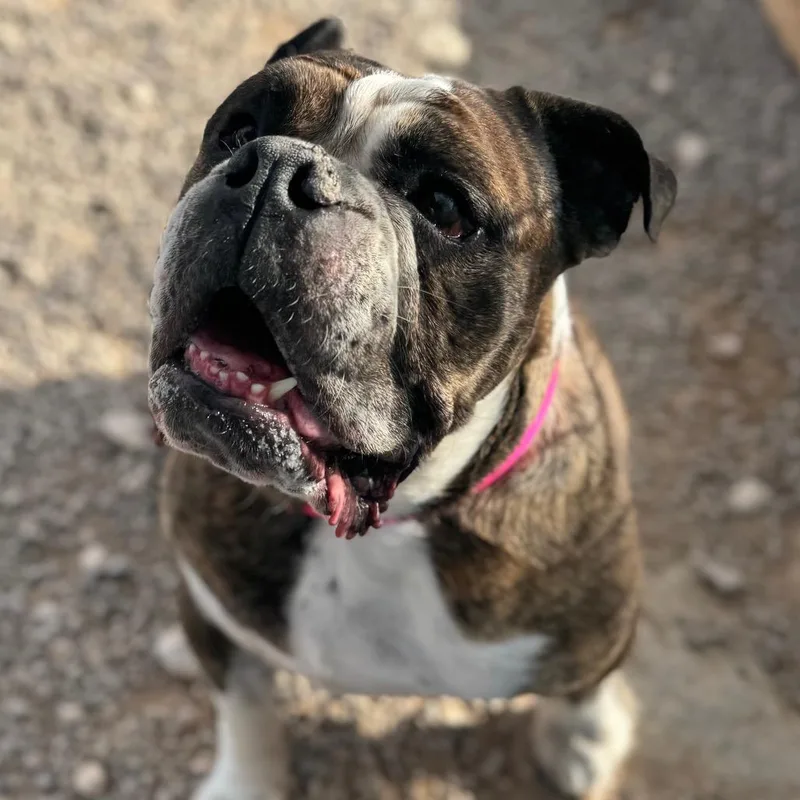 June Bug thumbnail 2