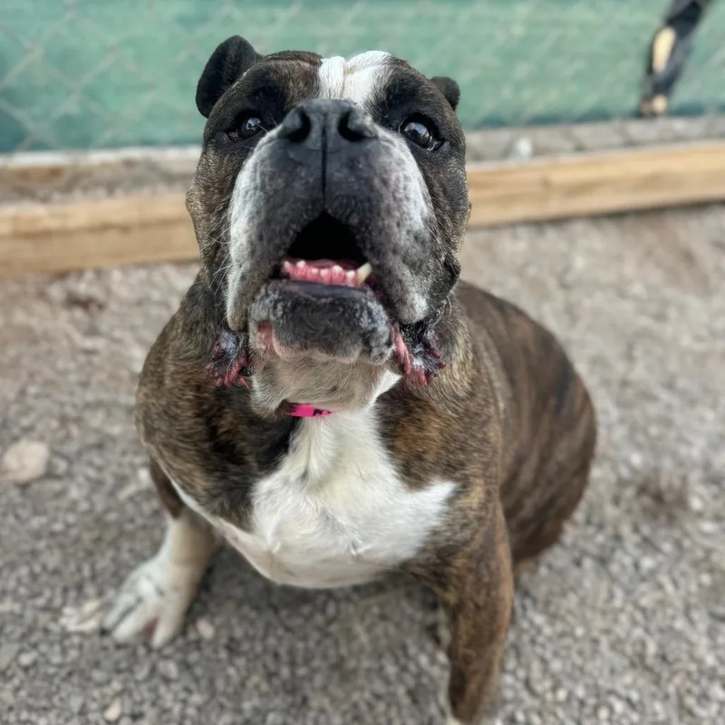 June Bug thumbnail 3