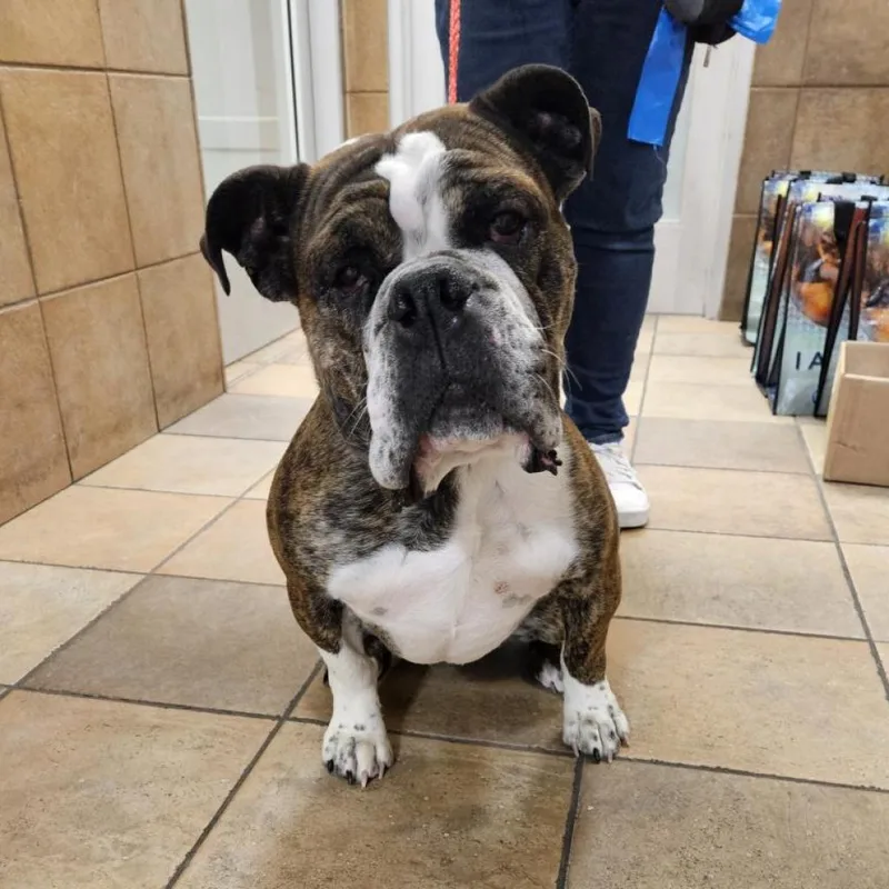 June Bug thumbnail 4