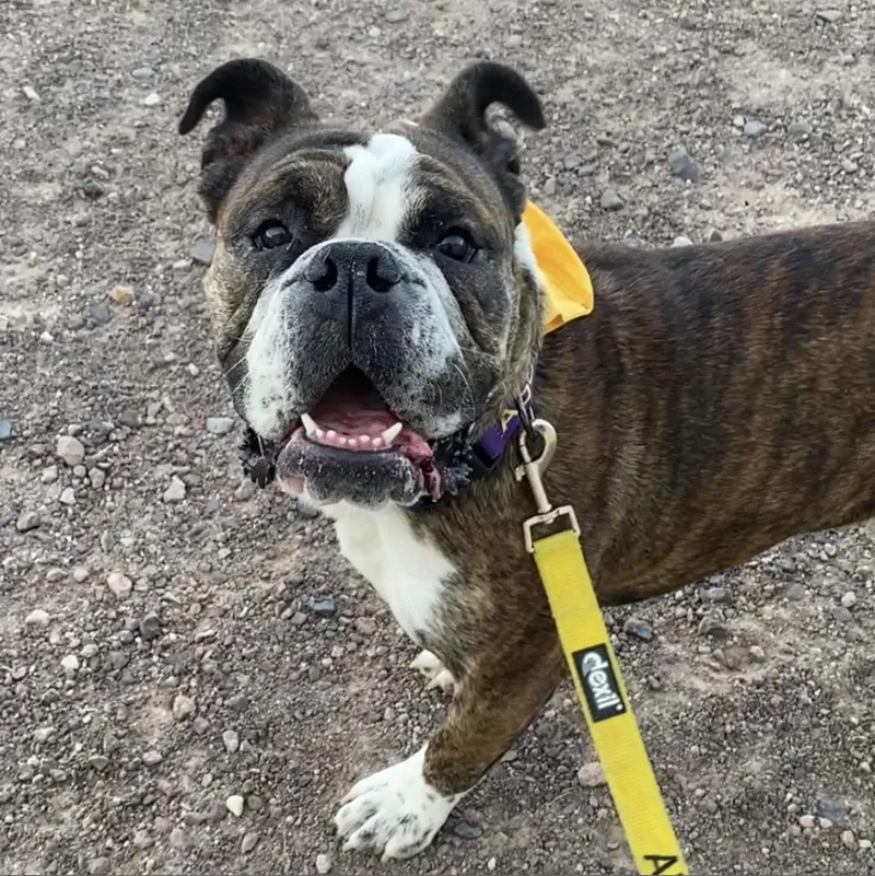 June Bug thumbnail 5