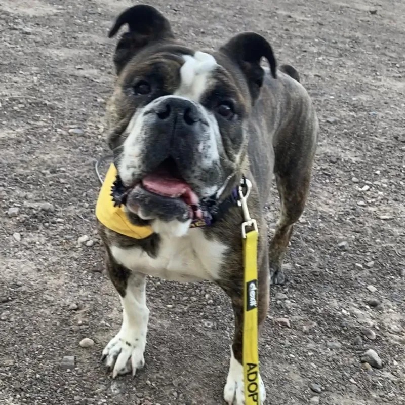 June Bug thumbnail 6