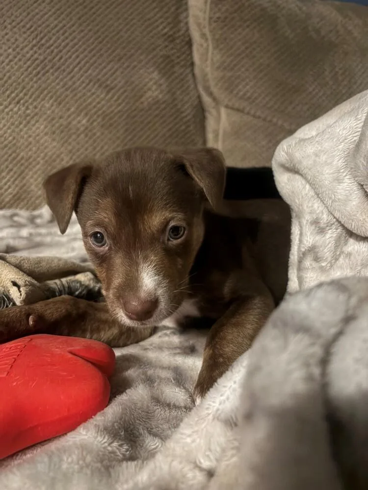Mable thumbnail 4
