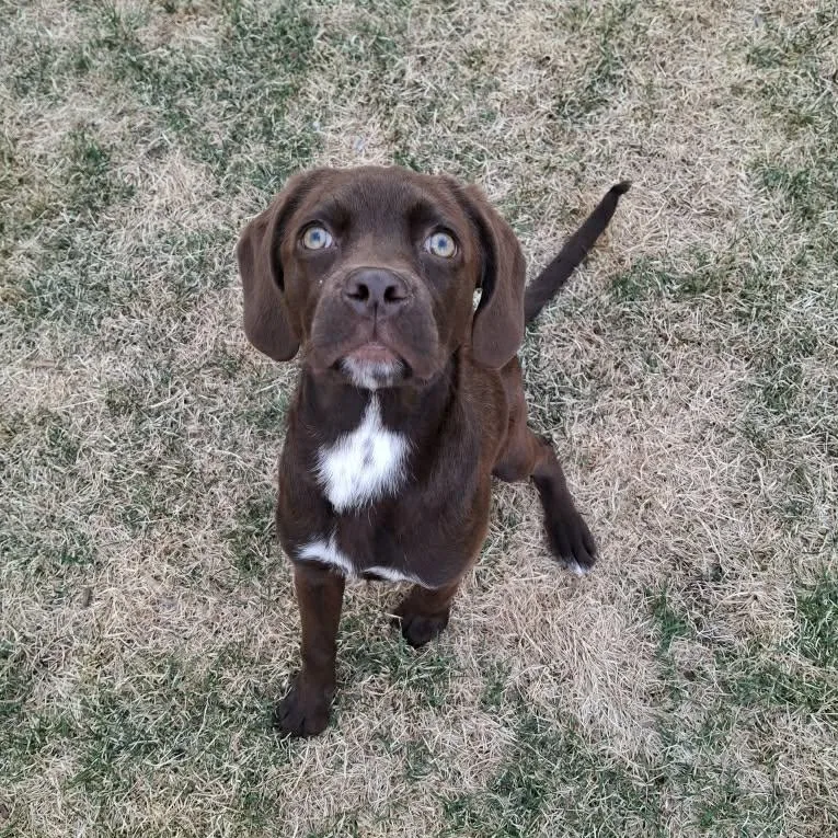 Sapphire thumbnail 2