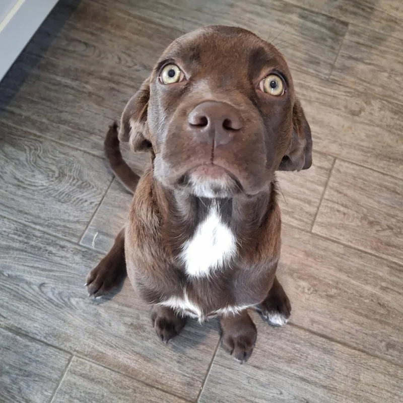 Sapphire thumbnail 3