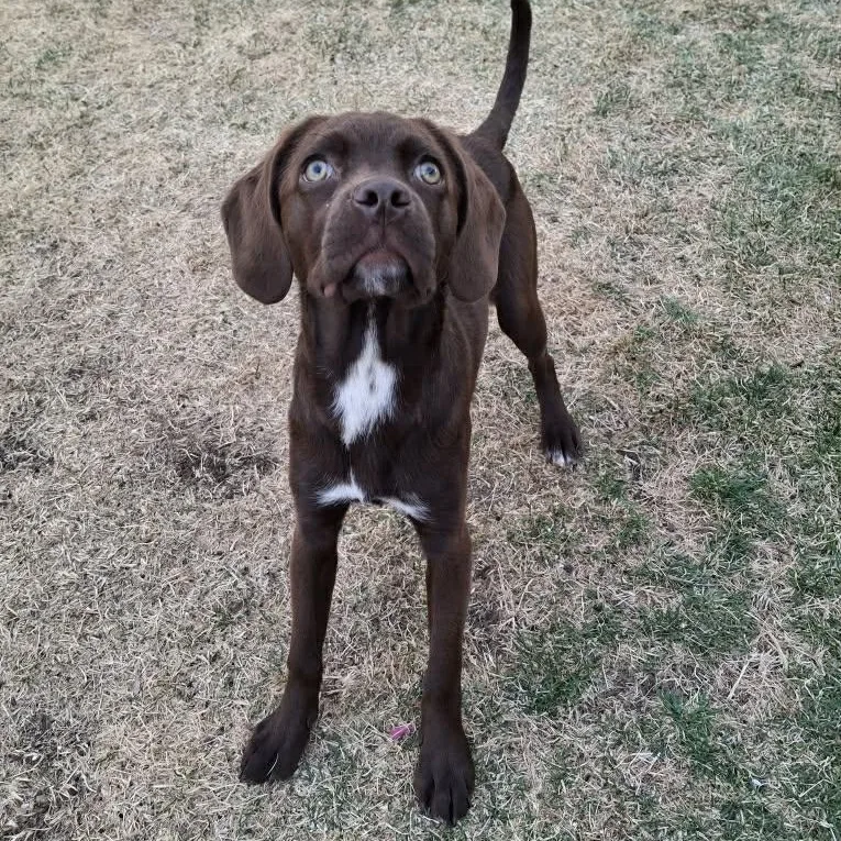 Sapphire thumbnail 4