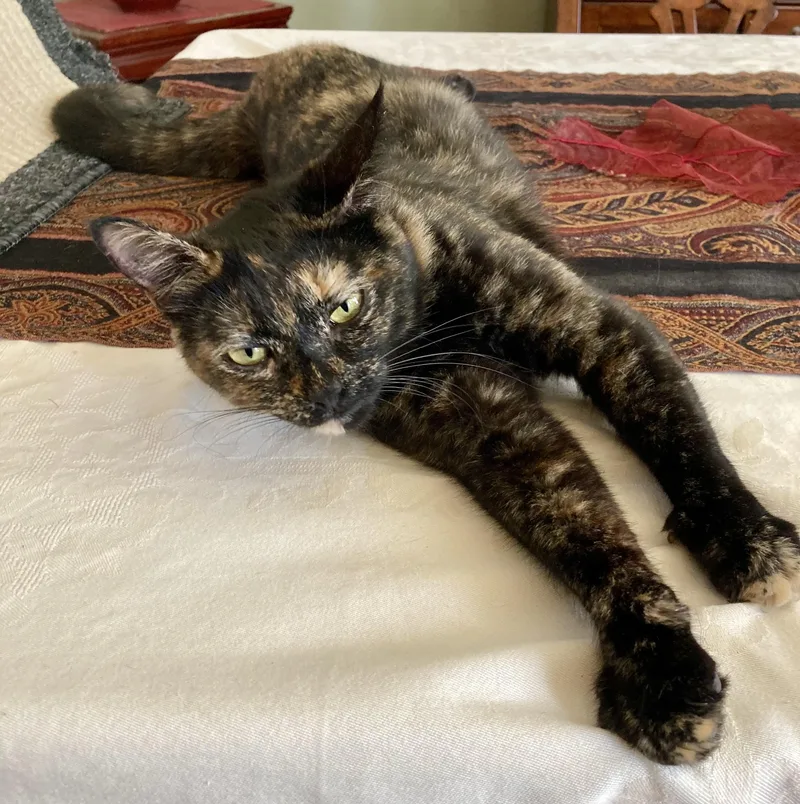 Esmeralda thumbnail 4