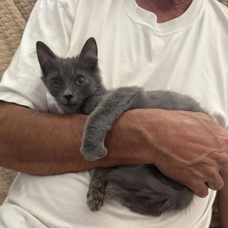 Oliver
