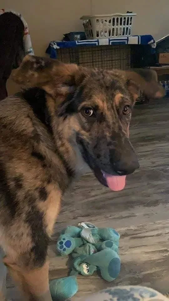 Mister Bean thumbnail 2