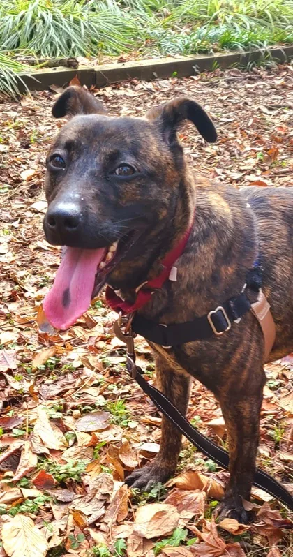 Hennessy thumbnail 4