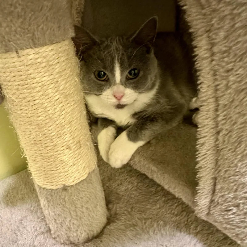 Betsy And Beverly thumbnail 2