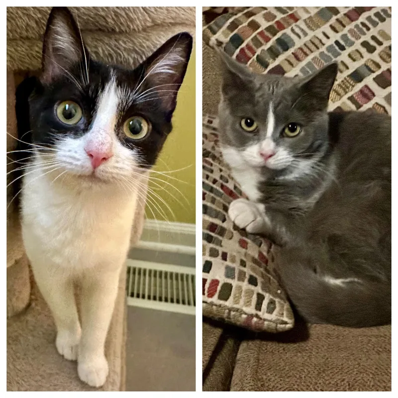 Betsy And Beverly thumbnail 4