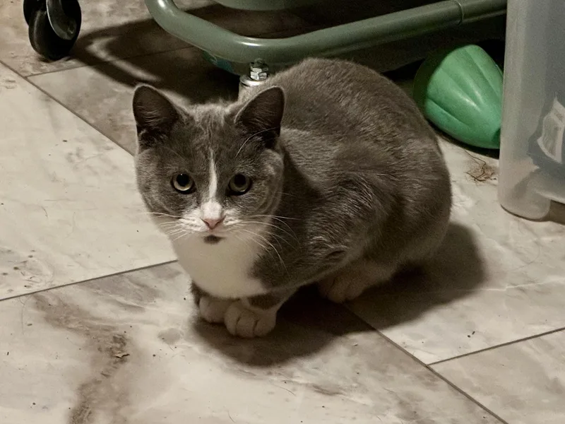 Betsy And Beverly thumbnail 5