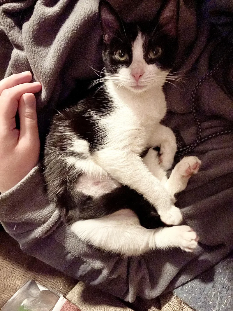 Betsy And Beverly thumbnail 6