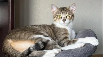 Misha thumbnail 3