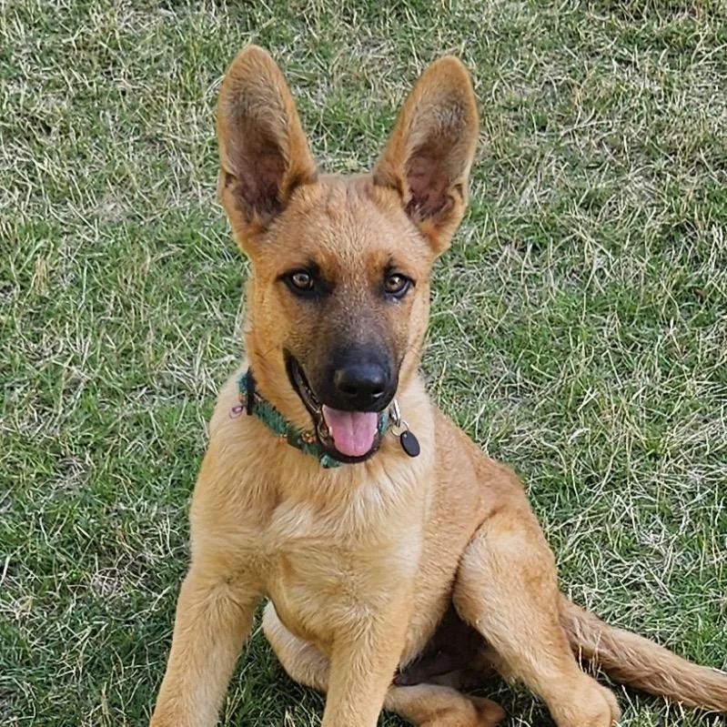 Max
