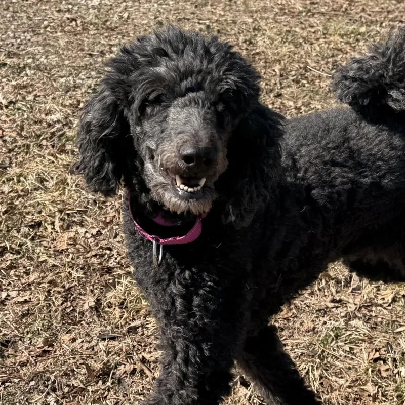 Maggie thumbnail 2