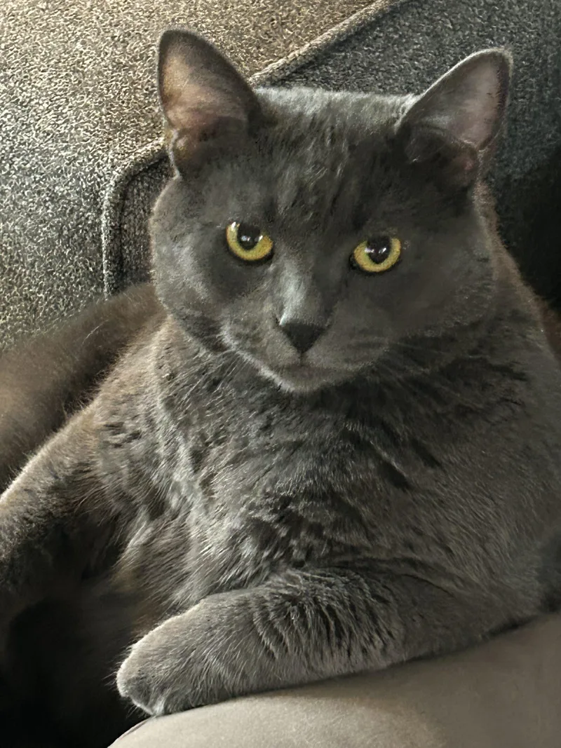 Sophie