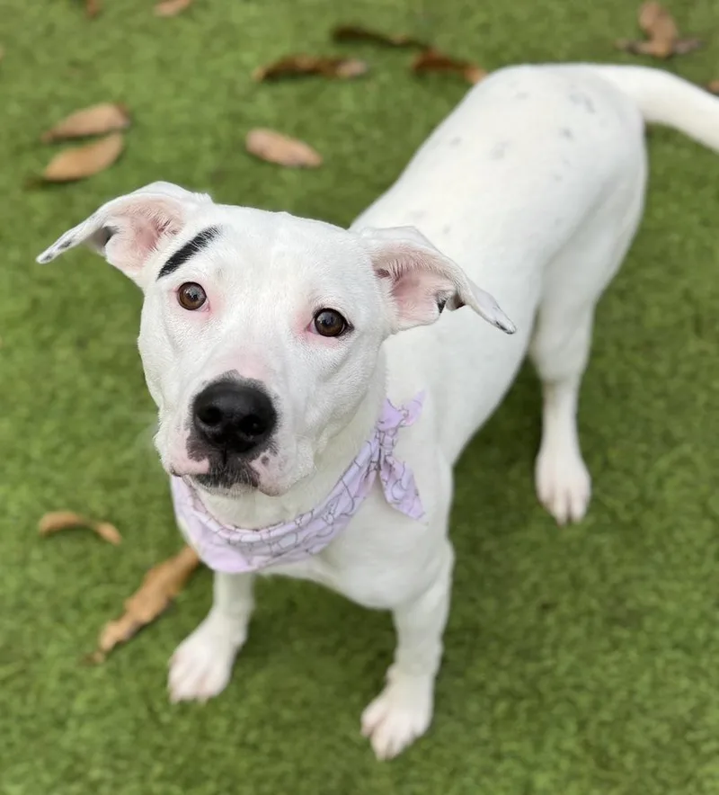 Caroline thumbnail 2