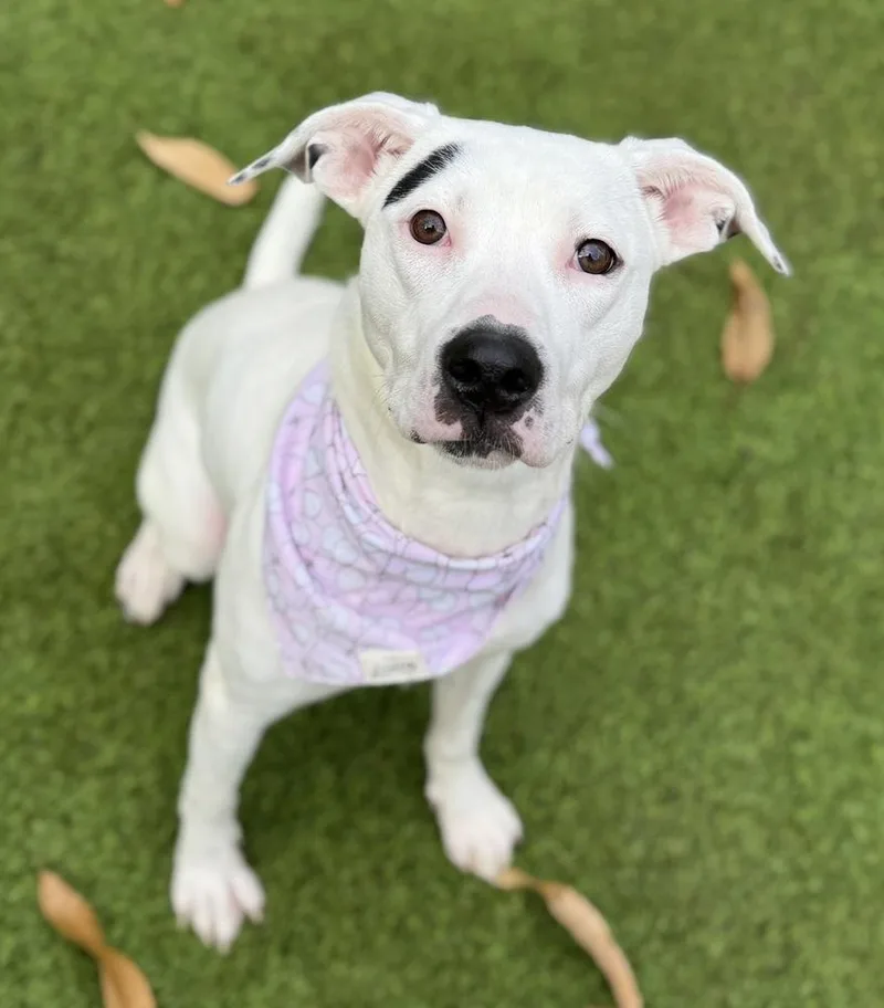 Caroline thumbnail 3