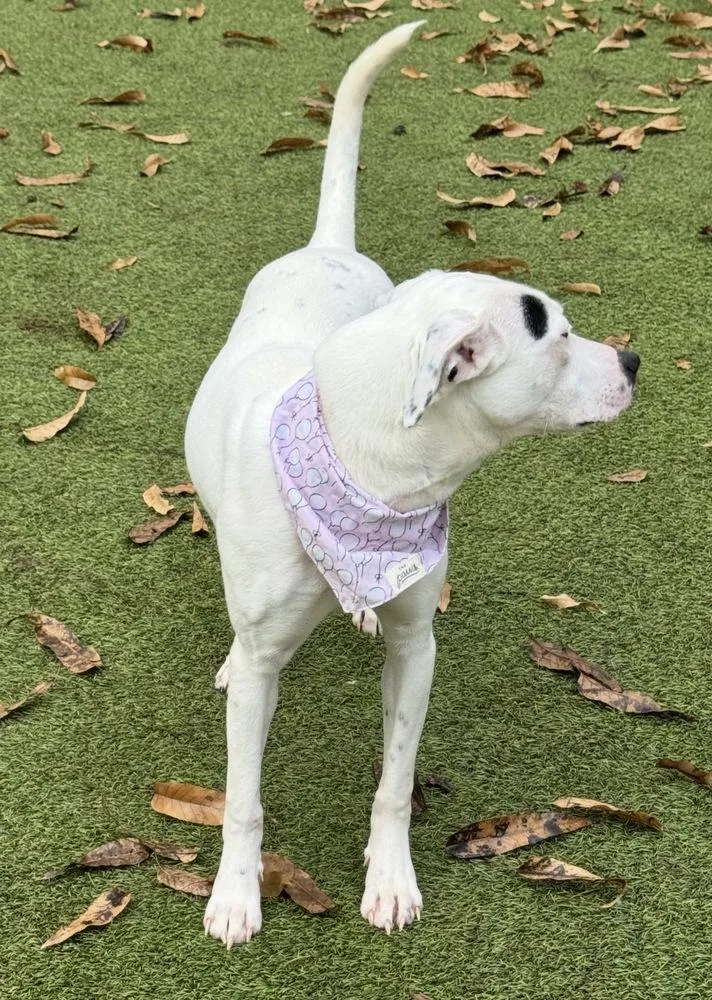 Caroline thumbnail 4