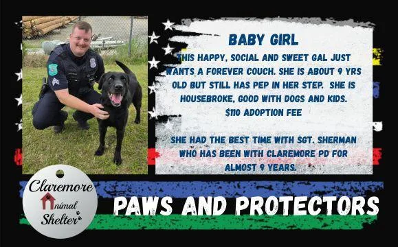 Baby Girl thumbnail 3