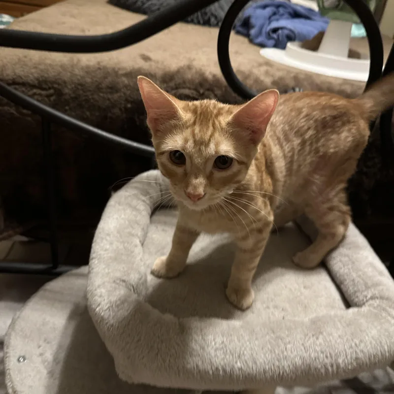 Walter