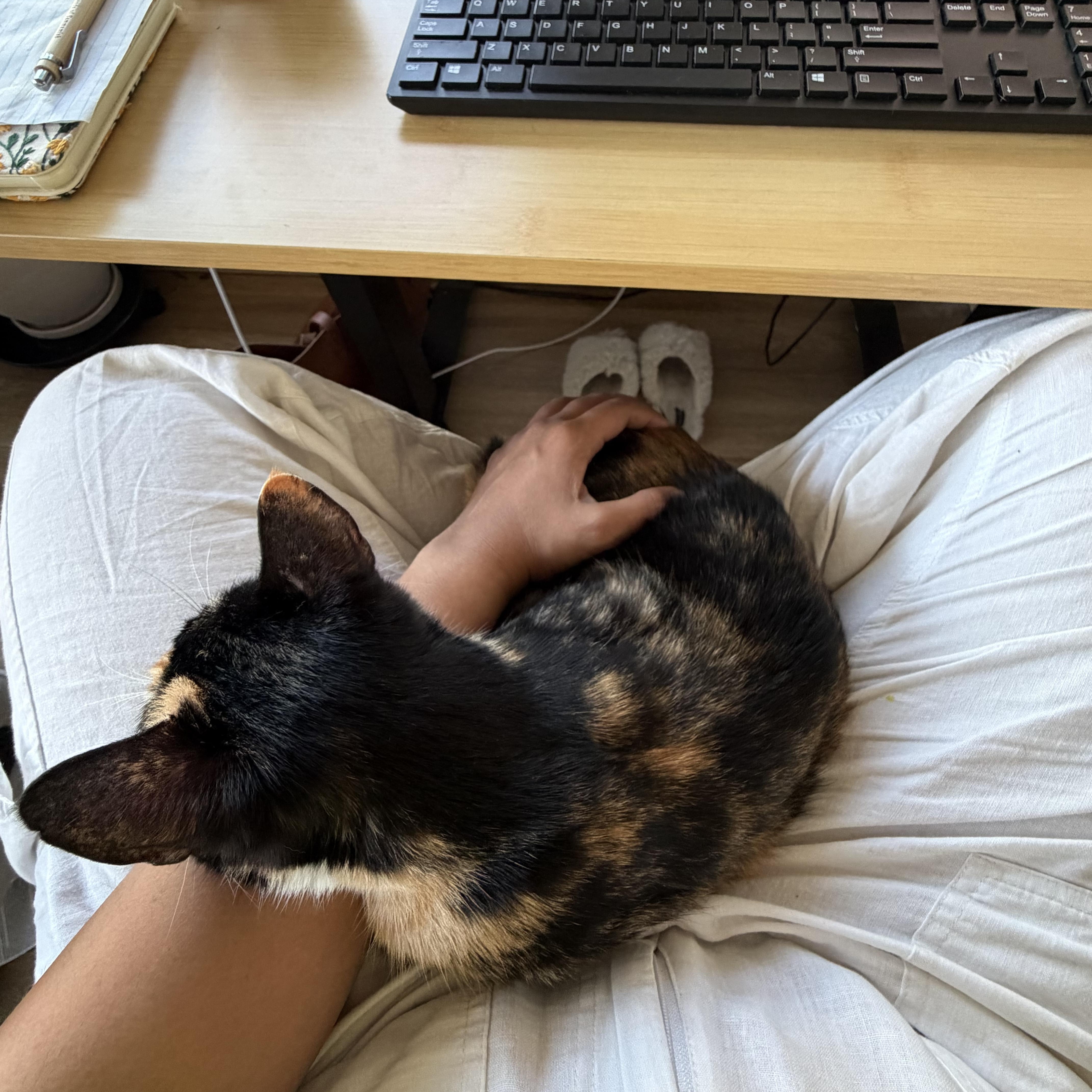 Petunia thumbnail 2
