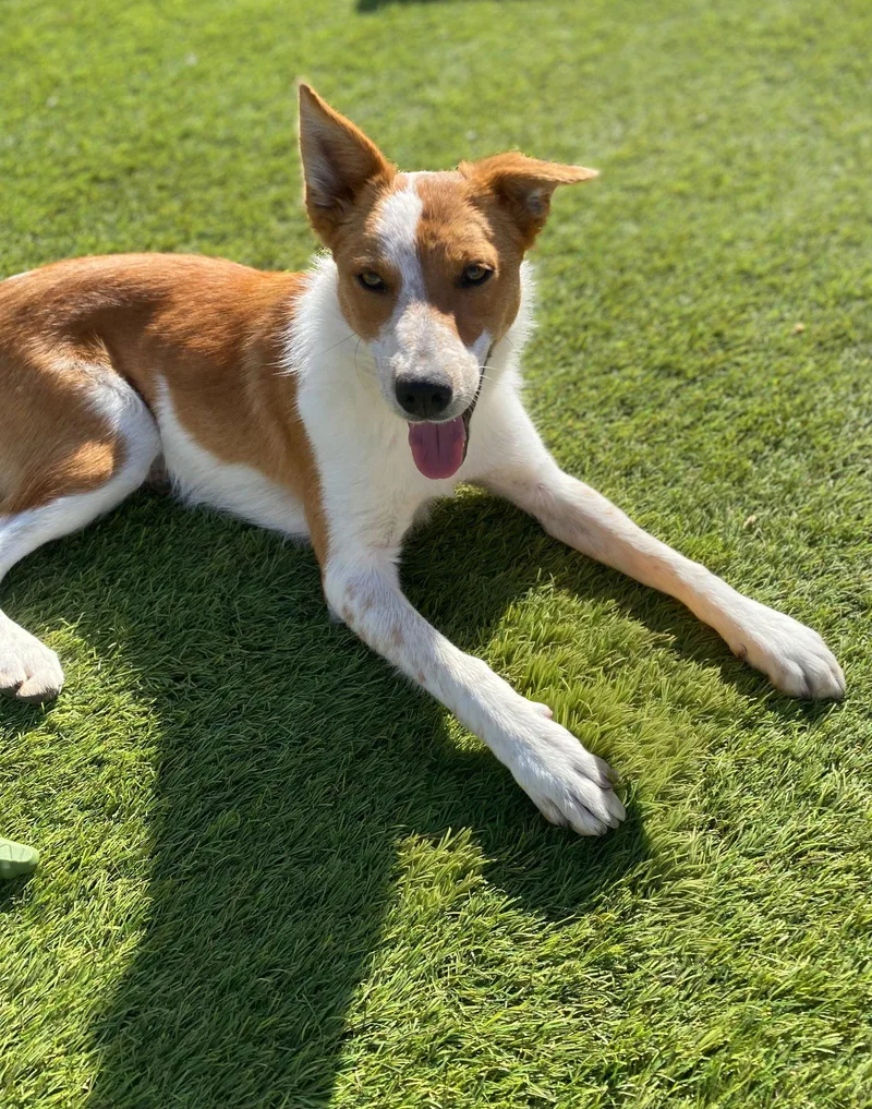 Cheyanne thumbnail 2