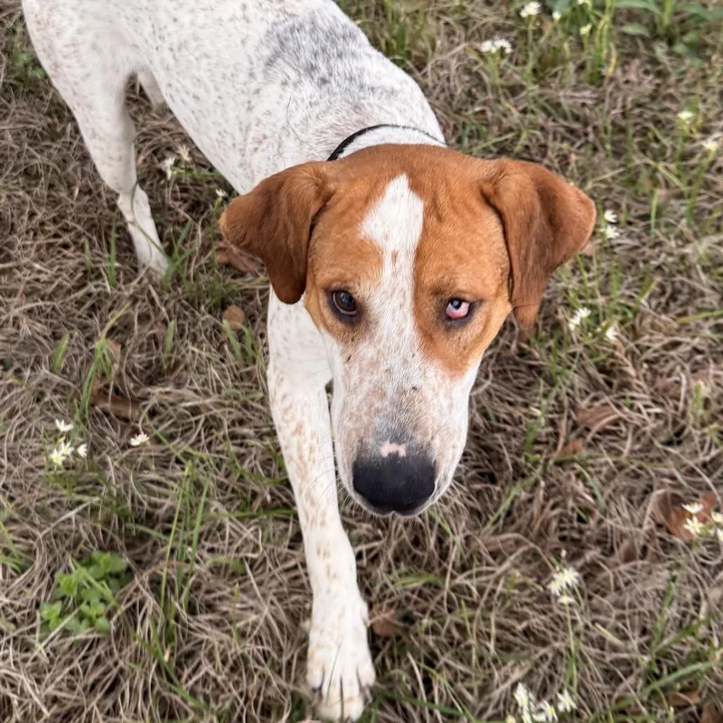 Rusty Roo thumbnail 3