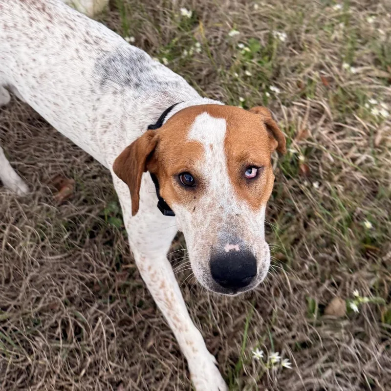 Rusty Roo thumbnail 4