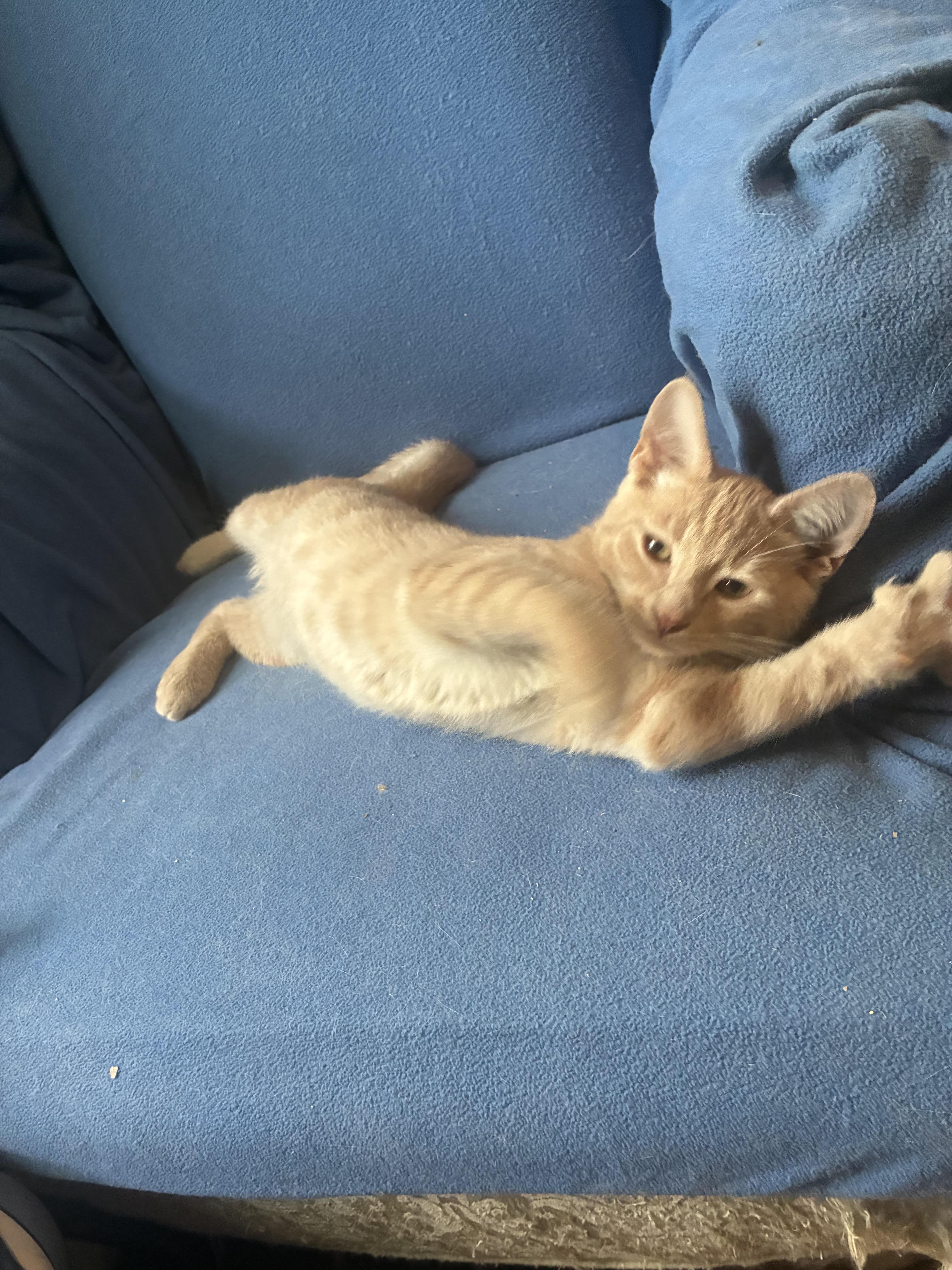 Ernie thumbnail 2