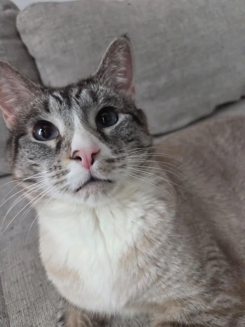 Dow Jones thumbnail 3