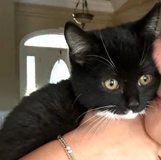 Priscilla thumbnail 2