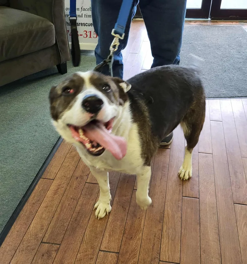 Maverick thumbnail 2