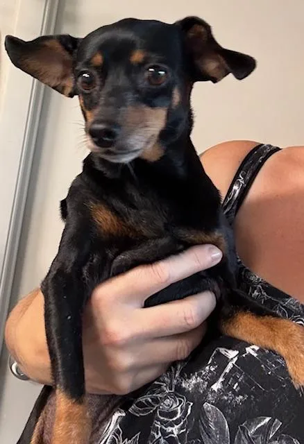 Emmy