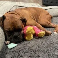 Franklin thumbnail 3