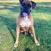 Franklin thumbnail 6