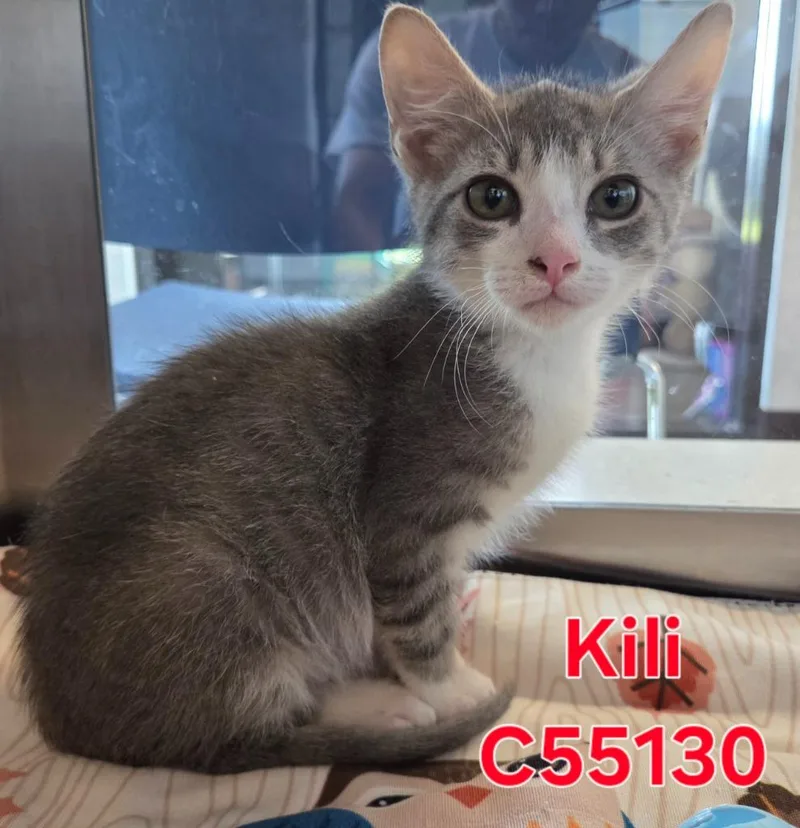 Kili