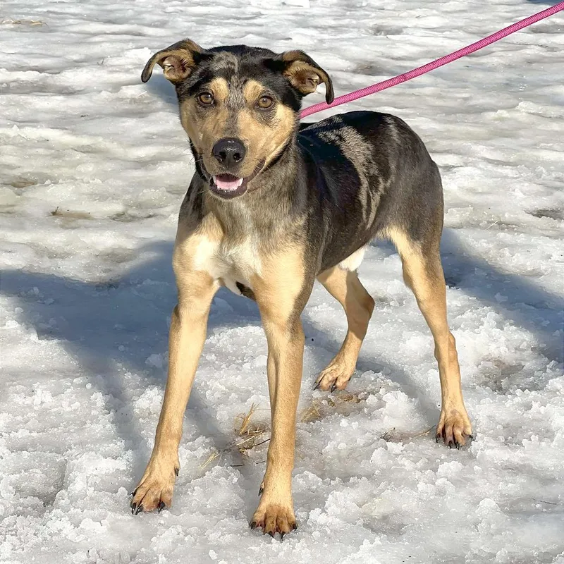 Marcello thumbnail 2