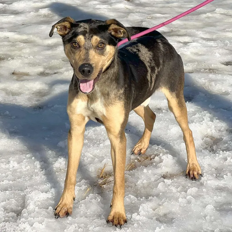 Marcello thumbnail 3