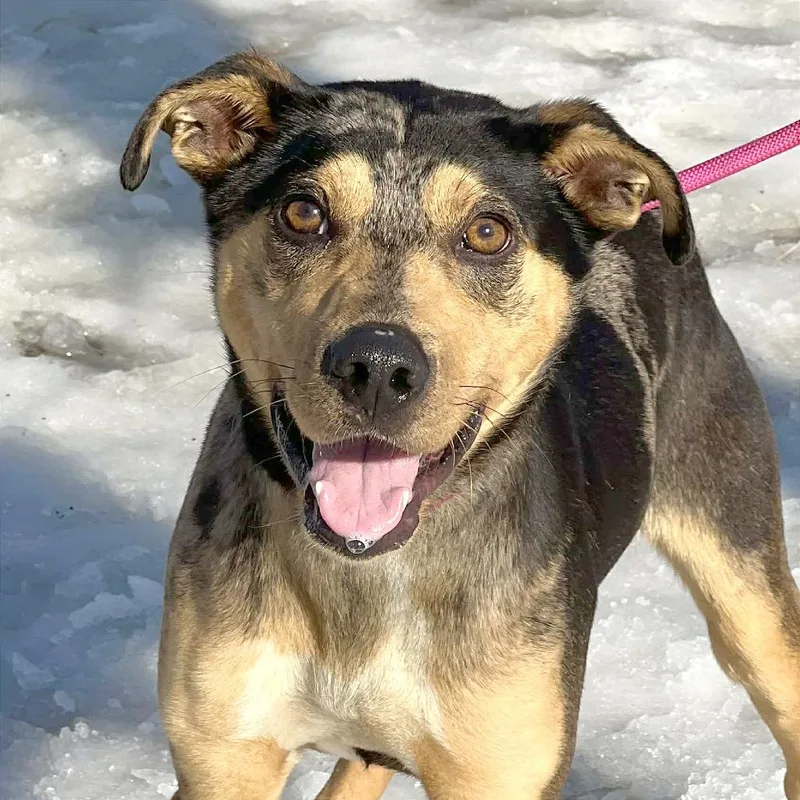 Marcello thumbnail 4